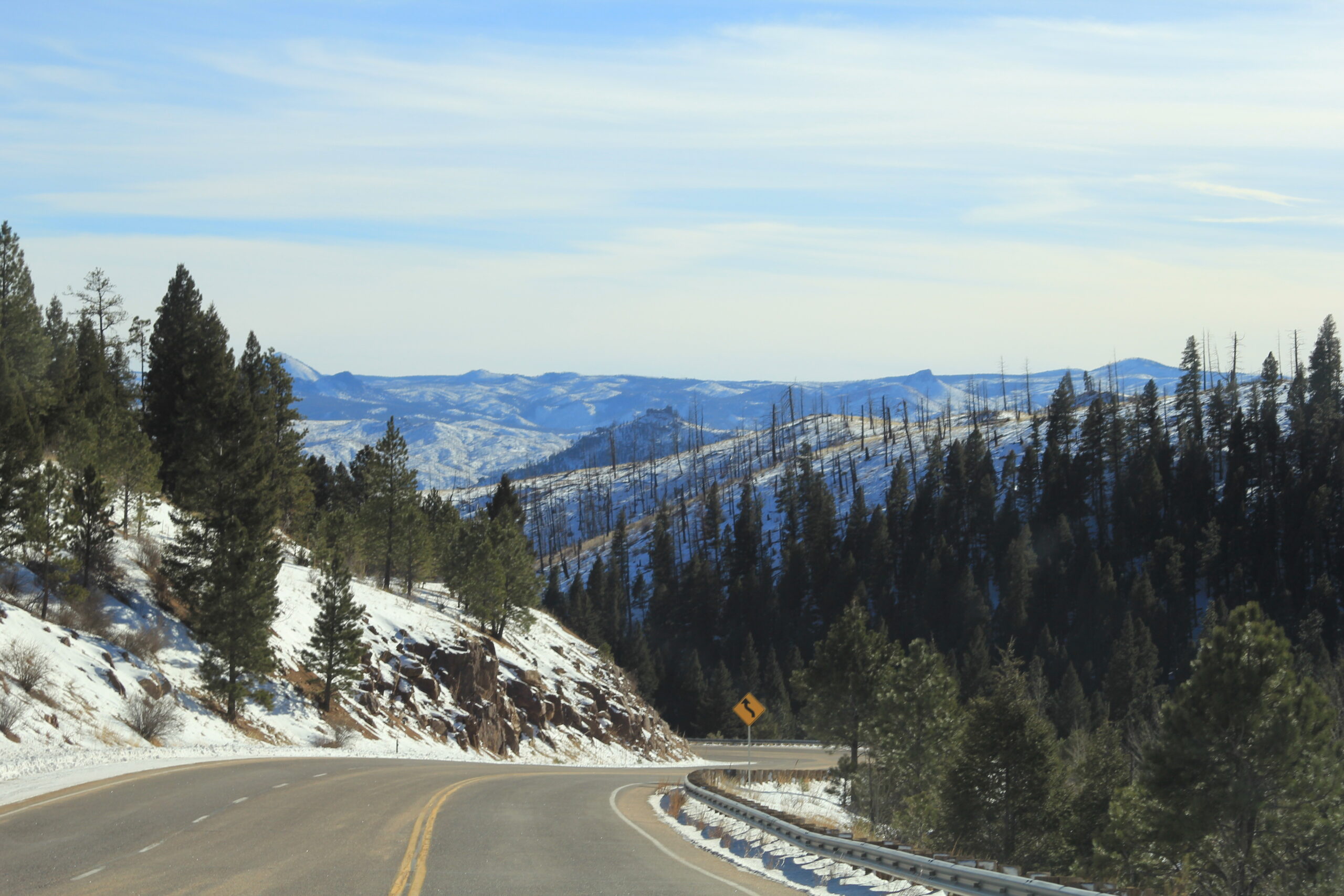 Pike National Forest, CO